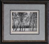 Lot 134: Ansel Adams, Young Oaks, Winter
7 3/8" x 9 3/8" photograph, signed on mounting lower right