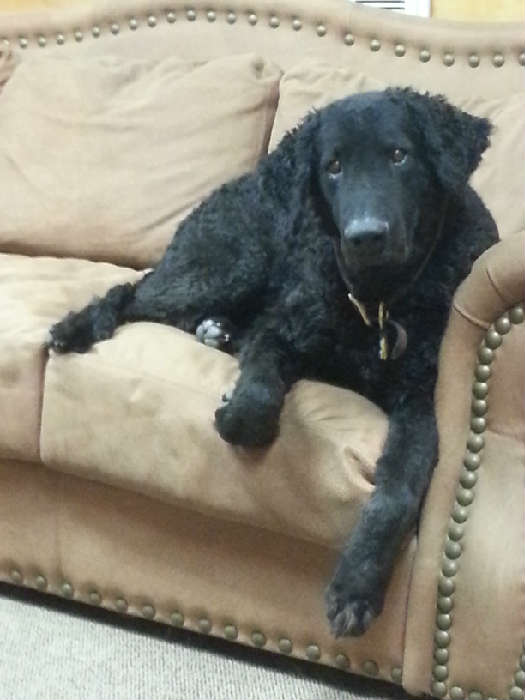 Jake says "Howdy Pardners !".... I am looking forward to seeing everybody at this fantastic sale !!