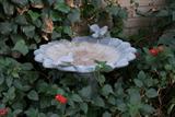 BIRD BATH