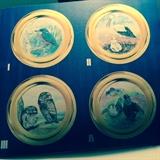 Limited Edition Wall Plates of Endangered Birds by Berendson AG