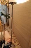 Contemporary Floor Lamp