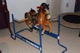 Vintage Rocking Horse