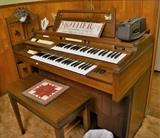 Gulbransen Pacemaker organ