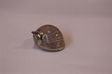 seashell pendant