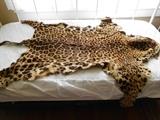 Authentic leopard skin