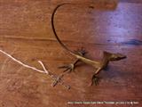 Brass gecko and a 14k gold cross