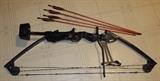 Stalker Indian compound bow