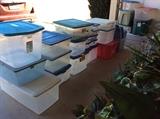 Lots of plastic bins in Garage