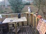 Back yard = items on porch, feeders, etc. in the yard