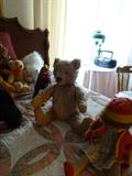 Stieff Bear--Old, missing an eye