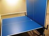 Ping pong table