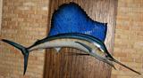 lot #280 WALL MOUNTED FIBERGLASS SAIL FISH, 48" X 84" OVERALL