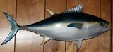 lot #281 WALL MOUNTED FIBERGLASS TUNA, 14 1/2" X 34"