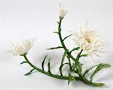 LOT#14  JAPANESE IVORY CHRYSANTHEMUM SCULPTURE, H 14", W 12", L 20", Ivory Chrysanthemum sculpture.