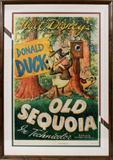LOT#2134  WALT DISNEY DONALD DUCK, "OLD SEQUOIA" ORIGINAL MOVIE POSTER, 39" X 25"