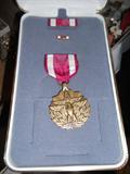 Meritorious Service