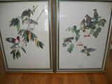 Rose Breasted Grossbeak (on left)
Cedar Waxwing (on right)

1942 Quaker State Lithograph