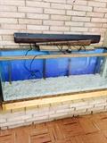 Fish tank . Several different sizes