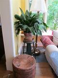 GREAT PLANTS