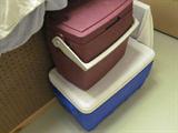 PICNIC COOLERS