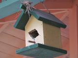 OUTDOOR DECORATION