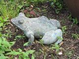 GARDEN ACCENTS