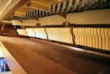 STEINWAY INTERIOR VERY WELL MAINTAINED!