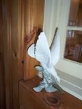 Lladro Figurine