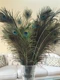PEACOCK FEATHERS DECOR'