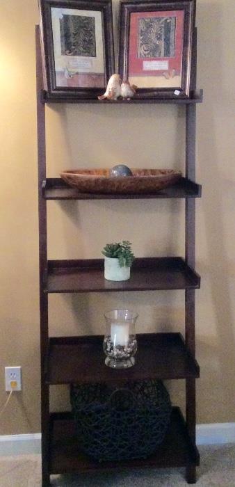 Love this ladder shelf!