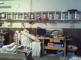 2 extension ladders and work table