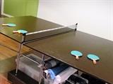 Ping pong doubles :)