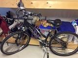 Pair of Trek bicycles