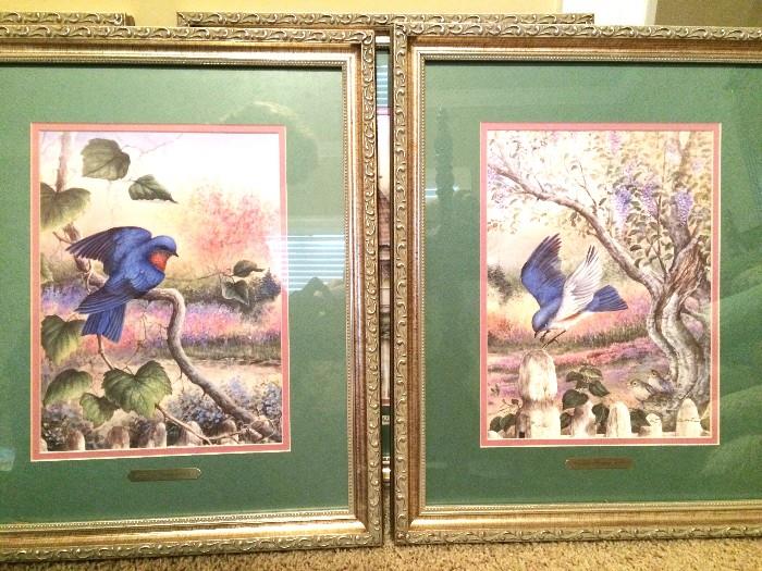 Framed sequential bird prints