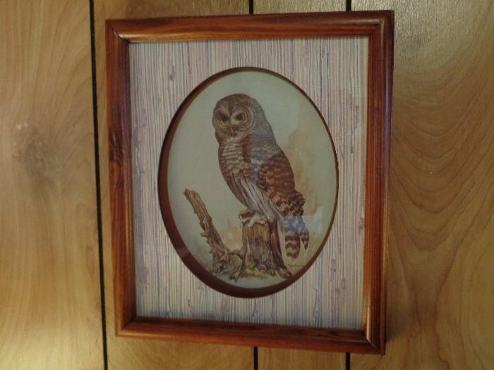 Framed owl Print by E Rambow . Nicely framed .
