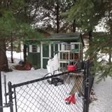 SHED FULL OF GARDENING NEEDS