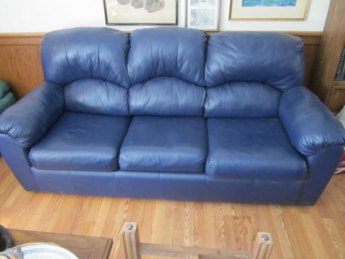 Blue sofa.