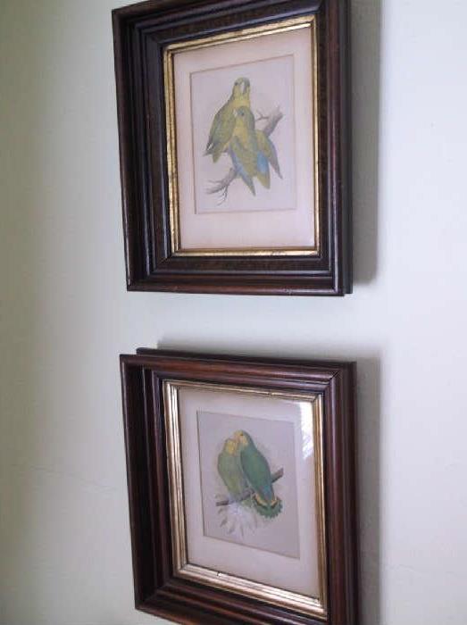 Pair of walnut shadow box framed parakeets