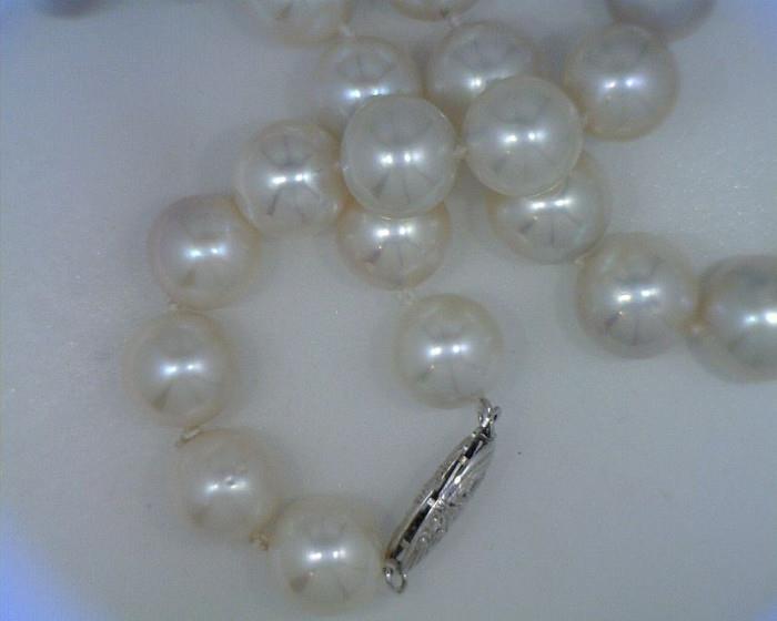 Akoya pearls (7 X 8 mm) with sterling clasp