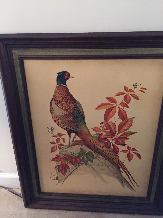 R T Peterson Ring Necked Pheasant Print