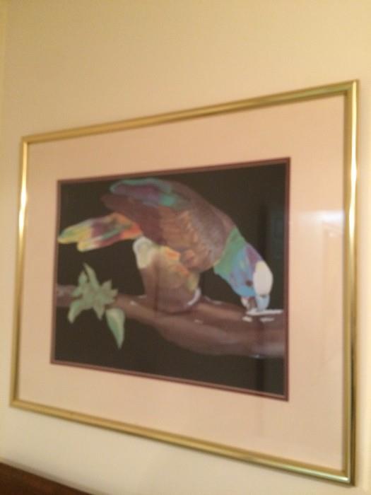 colorful bird print