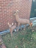 Doe a deer, a female deer, um wait these are décor and his antlers are broken loose from his head!