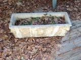 Concrete Planter $ 30.00