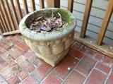 Concrete Planter $ 20.00