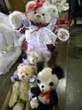 Knickerbocker Bears