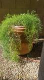 Large pot planters