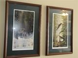 wolf Picture / eagle picture