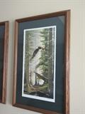 eagle picture
