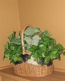 lots of green / stems and in baskets