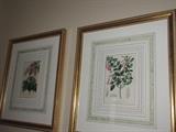 flora framed pictures